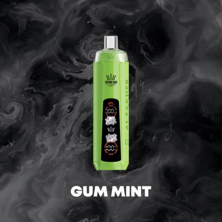 GUM MINT
