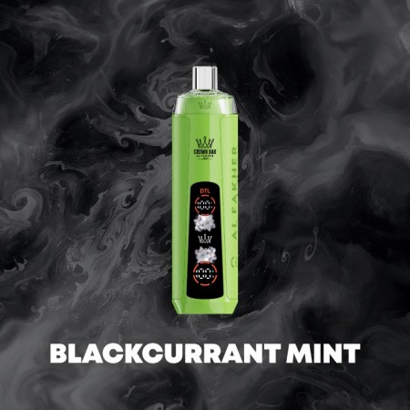 BLACKCURRANT MINT