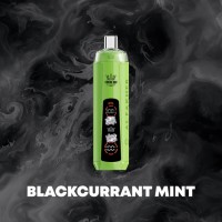 BLACKCURRANT MINT