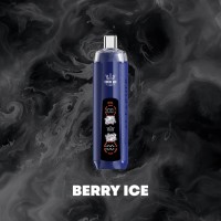 BERRY ICE