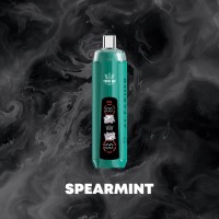 SPEARMINT
