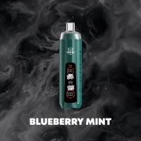 BLUEBERRY MINT