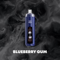 BLUEBERRY GUM
