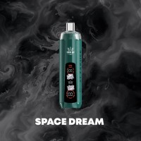 SPACE DREAM